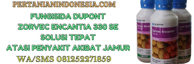 fungisida,fungisida dupont,corteva agriscience,pestisida,zorvec encantia